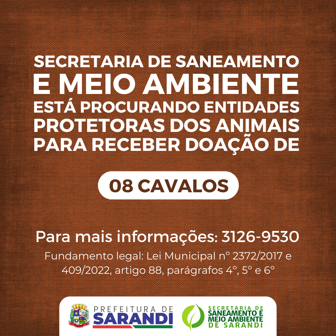 Secretaria de Meio Ambiente está procurando entidades protetoras dos animais para receber doação de 08 cavalos